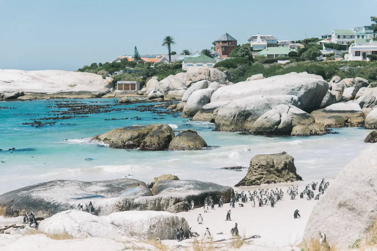 Südafrika 2017 - Geeignet für eure Hochzeitsreise? 11