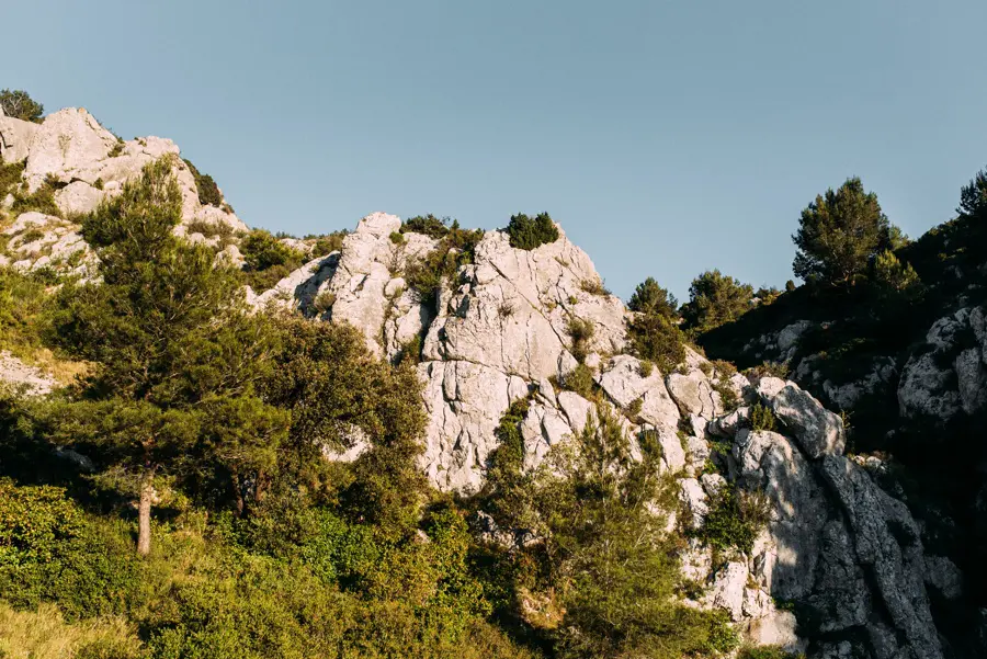 Südfrankreich 2019 | Im Naturpark Haut-Languedoc 2