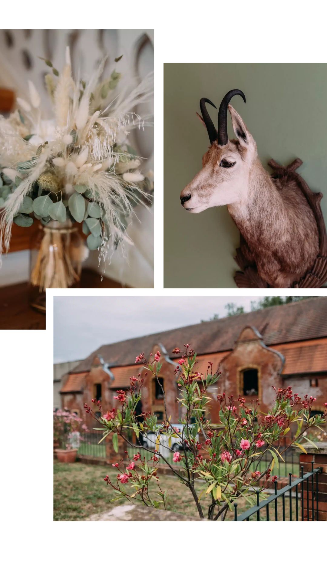 Freie Trauung im Rittergut Ermlitz – eine Sommerhochzeit bei Leipzig 1